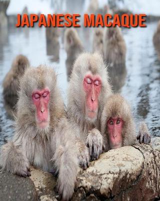 Book cover for Japanese Macaque