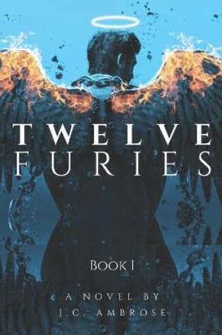 Cover of Twelve Furies