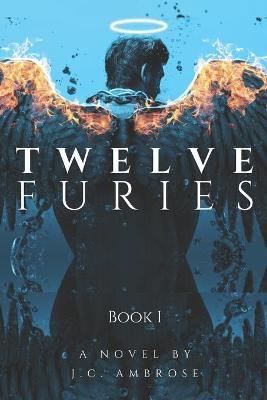 Book cover for Twelve Furies