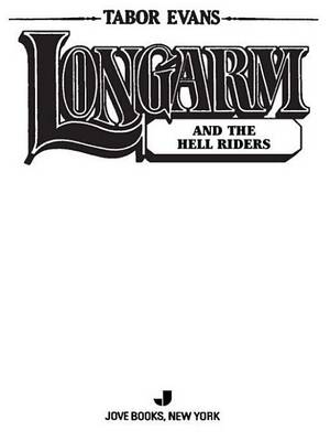 Book cover for Longarm 345