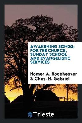 Book cover for Awakening Songs