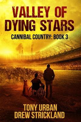 Book cover for Valley of Dying Stars