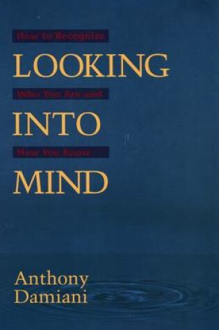 Cover of Looking Into Mind