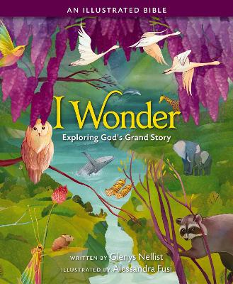 Book cover for I Wonder: Exploring God's Grand Story