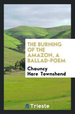 Cover of The Burning of the Amazon, a Ballad-Poem