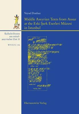 Book cover for Middle Assyrian Texts from Assur at the Eski Sark Eserleri Muzesi in Istanbul