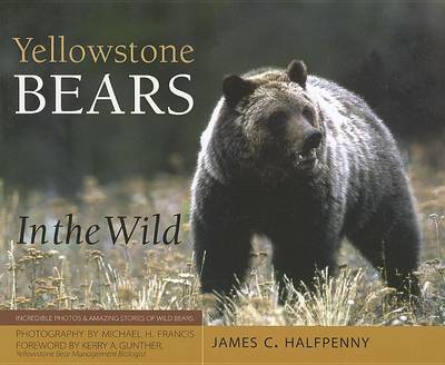 Book cover for Yellowstone Bears in the Wild