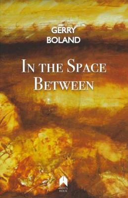 Book cover for In the Space Between