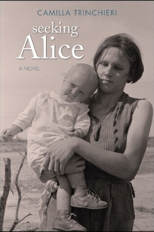 Cover of Seeking Alice