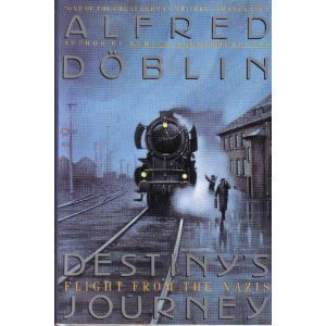 Book cover for Destiny's Journey