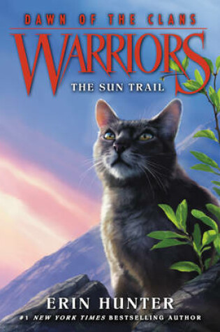 Cover of The Sun Trail