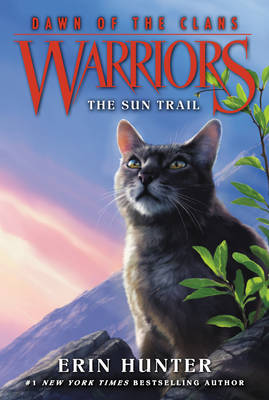 Book cover for The Sun Trail