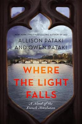 Book cover for Where The Light Falls