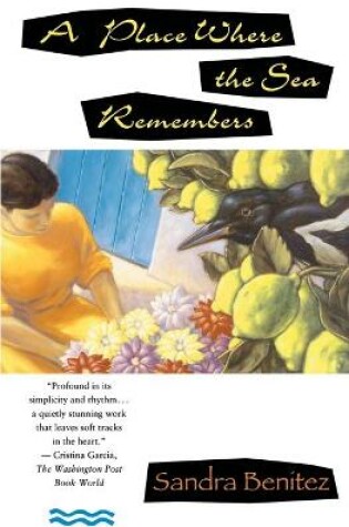 Cover of A Place Where the Sea Remembers