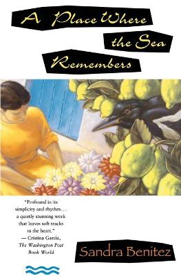 Book cover for A Place Where the Sea Remembers