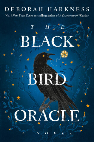 Book cover for The Black Bird Oracle