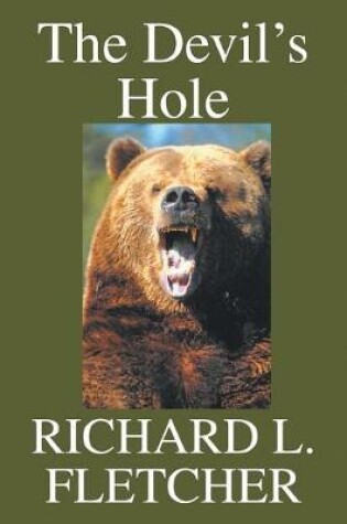 Cover of The Devil's Hole