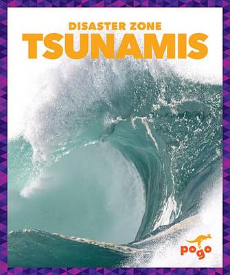 Book cover for Tsunamis