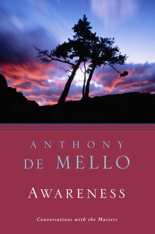 Cover of Awareness