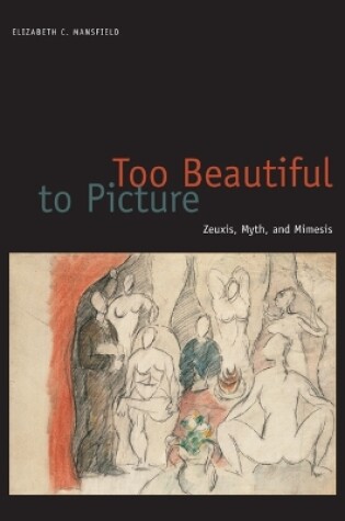 Cover of Too Beautiful to Picture