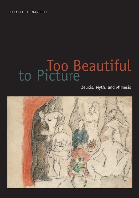 Book cover for Too Beautiful to Picture