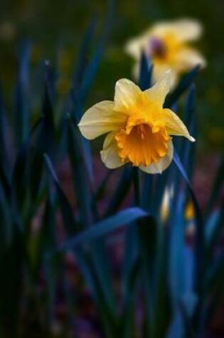 Cover of Narcissus Daffodils in Spring Time Journal