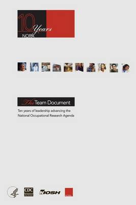 Book cover for The Team Document