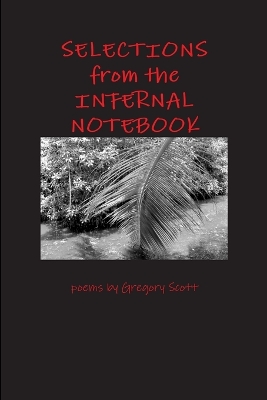 Book cover for Selections from the Infernal Notebook