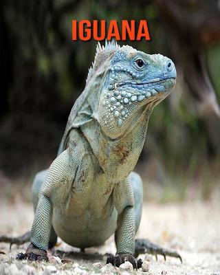 Book cover for Iguana