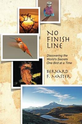 Book cover for No Finish Line