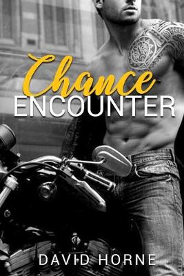 Book cover for Chance Encounter