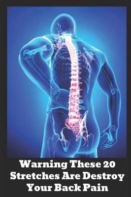 Book cover for Warning These 20 Stretches Are Destroy Your Back Pain