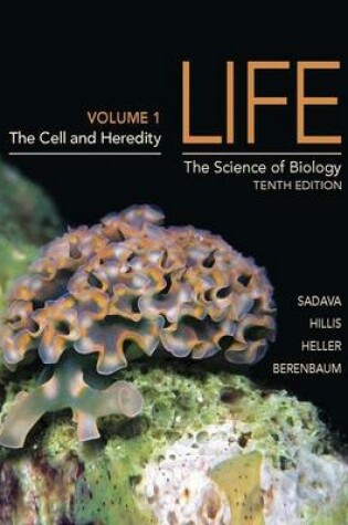 Cover of Life: The Science of Biology (Volume 1)