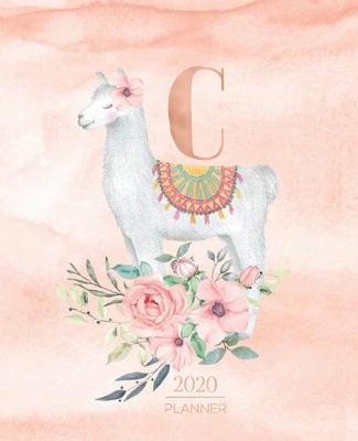 Cover of 2020 Planner C