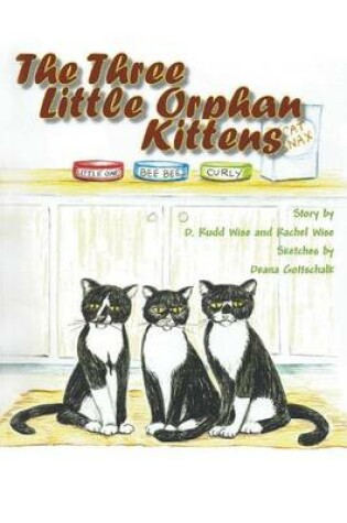 Cover of The Three Little Orphan Kittens