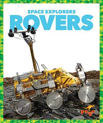 Book cover for Rovers