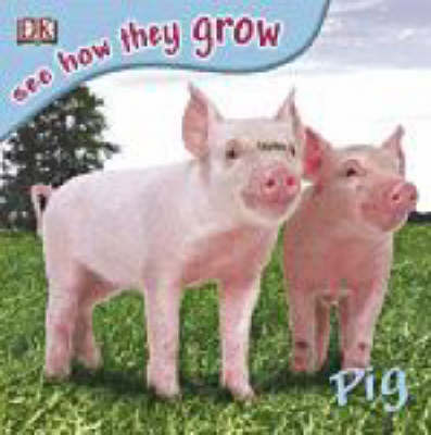 Book cover for Pig with Sticker
