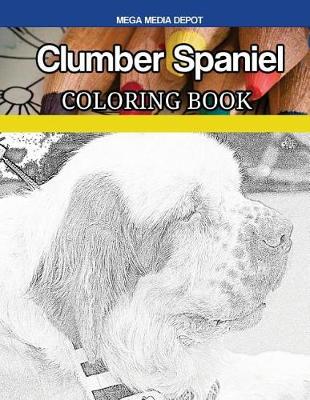 Book cover for Clumber Spaniel Coloring Book