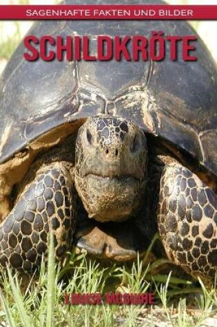 Cover of Schildkröte