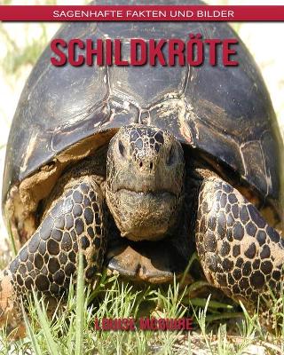 Book cover for Schildkröte