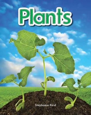 Cover of Plants Lap Book