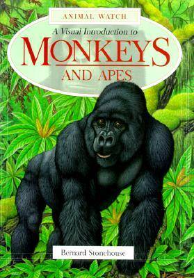 Book cover for Monkeys and Apes