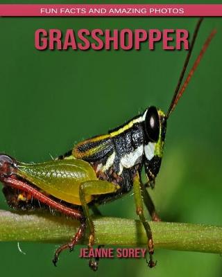 Book cover for Grasshopper