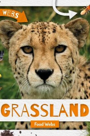 Cover of Grassland Food Webs