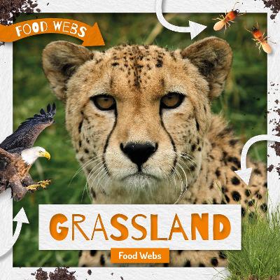 Cover of Grassland Food Webs