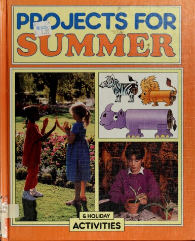 Book cover for Projects for Summer & Holiday Activities