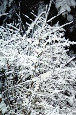 Cover of Journal Snow Covered Branches