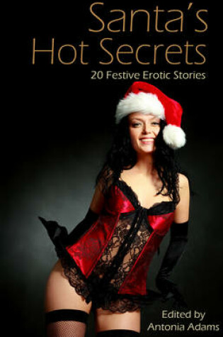 Cover of Santa's Hot Secrets