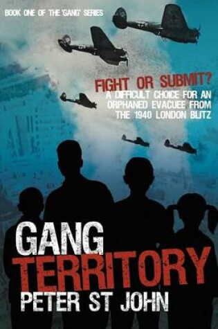 Cover of Gang Territory