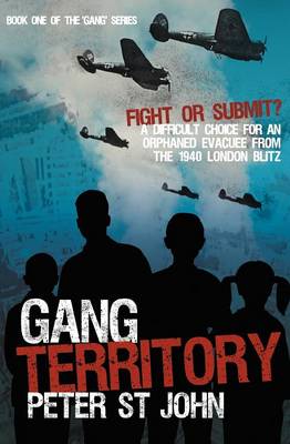 Book cover for Gang Territory